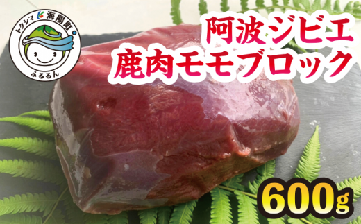 サンプル写真