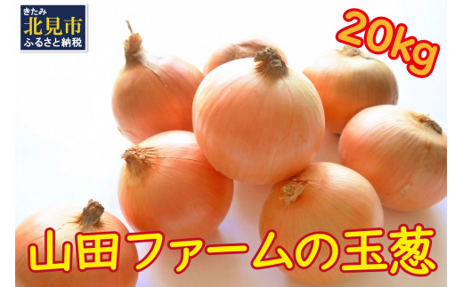 A-397-2023】【先行予約】山田ファームの玉葱 20kg（Lサイズ以上