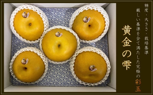 【埼玉限定】すっきり 甘〜い！ 埼玉産 梨(彩玉) 贈答用 大玉 10玉 5kg 埼玉県の梨 彩玉 から選ばれた特別限定品「黄金の雫」 数量限定