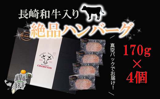 長崎和牛入り絶品ハンバーグ 170ｇ 4個 諫早市諫早市 ふるさと納税 ふるさとチョイス