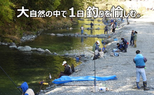 大自然の中で1日釣り券（1名分） ニジマス (1.5kg) 放流付 - 神奈川県