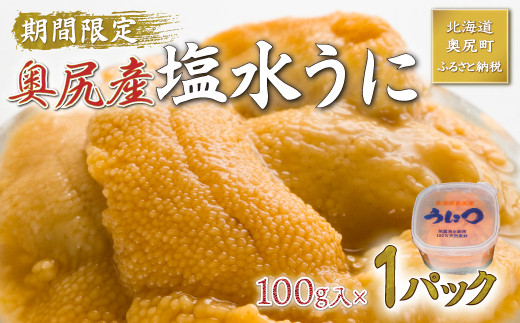 北海道奥尻産「キタムラサキウニ」100g (塩水パック)【期日指定不可】 生うに ウニ きたむらさきうに 奥尻 海鮮 ミョウバン不使用 先行予約  数量限定 送料無料 OKUH016 - 北海道奥尻町｜ふるさとチョイス - ふるさと納税サイト