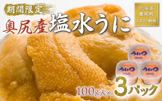 北海道奥尻産「キタムラサキウニ」300g （100g×3） (塩水パック)【期日指定不可】 生うに ウニ きたむらさきうに 奥尻 海鮮  ミョウバン不使用 先行予約 数量限定 送料無料 OKUH014 - 北海道奥尻町｜ふるさとチョイス - ふるさと納税サイト