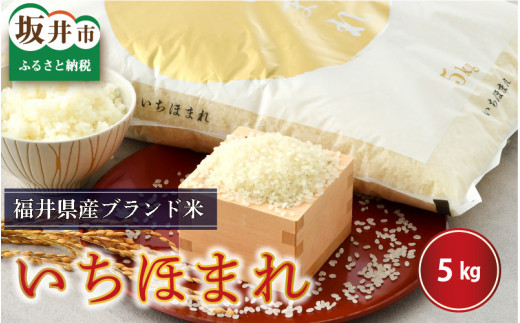 y䌧szyߘa7NYEVāz񂳂rڂ͂ 䌧Yق܂ 5kgi㔒āj [B-0219_01]