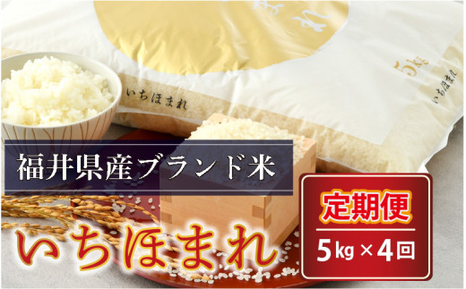 令和5年産】【4ヶ月連続お届け】さんさん池見二代目がお届けする 福井