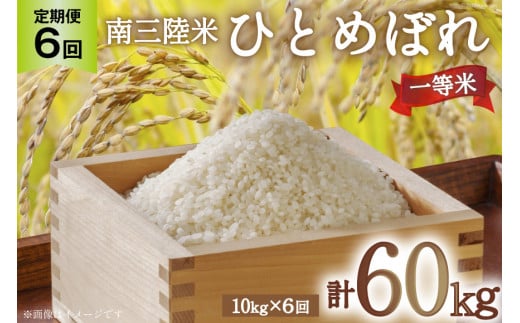 y{錧Csz6   CY O ЂƂ߂ڂ 10kg v60kg [CsYU {錧 Cs 20565810]   R   ꓙ uh  ͂ 