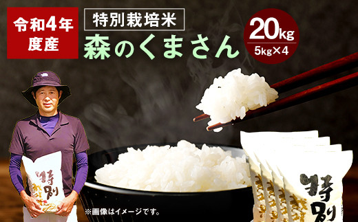 令和4年度 】 相良村産 特別栽培米 森のくまさん 20kg（5kg×4） - 熊本