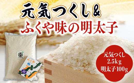 元気つくし＆ふくや味の明太子100g AX037 - 福岡県宇美町｜ふるさとチョイス - ふるさと納税サイト