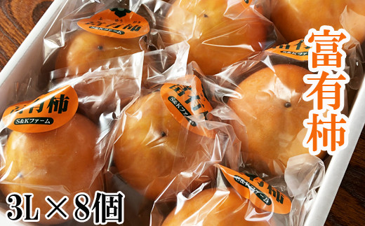 【鳥取県南部町】【SK03-12】鳥取県産　富有柿（3L×8個）2.5kg　<出荷：12月>