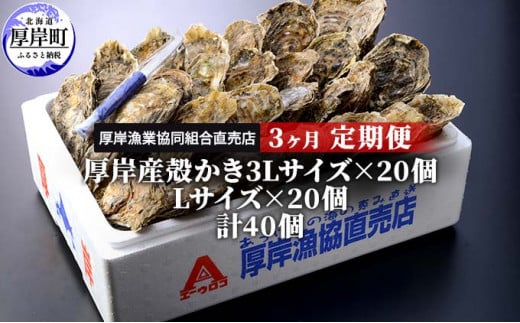 定期便 3ヶ月 北海道 厚岸産 牡蠣 3L 20個 と L 20個 ひと月あたり40個お届け (各回40個×3ヶ月分,合計120個) 殻付き 生食  かき カキ [№5863-0529] - 北海道厚岸町｜ふるさとチョイス - ふるさと納税サイト