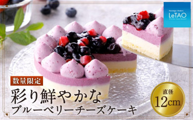 ケーキ チーズケーキ ブルーベリー - 食品の人気商品・通販・価格比較 ...