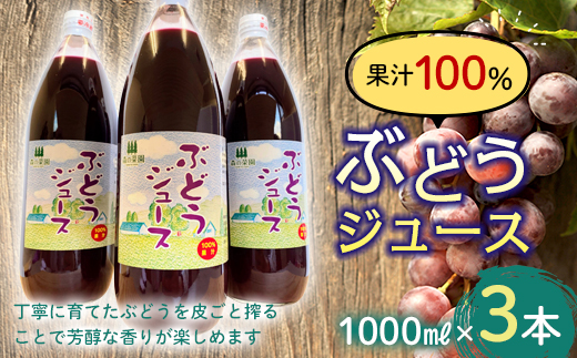 マルタ 果汁100% 1000ml 6本セット きぶどうジュース マルタのきぶどう【東北放送で紹介されました】 | 田所食品株式会社