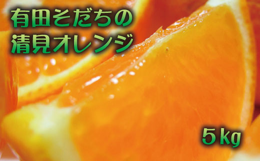 【和歌山県すさみ町】【2023年3月上旬〜発送】有田育ちの清見オレンジ(ご家庭用)　約5kg