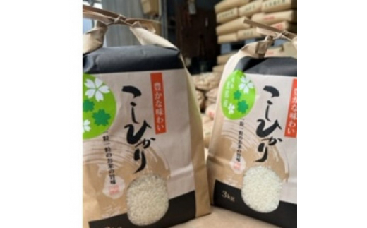 岐阜 - 白米の人気商品・通販・価格比較 - 価格.com