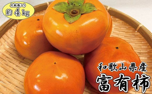 和歌山秋の味覚　富有柿　約4kg　化粧箱入　※2024年11月上旬頃〜2024年11月下旬頃発送（お届け日指定不可）