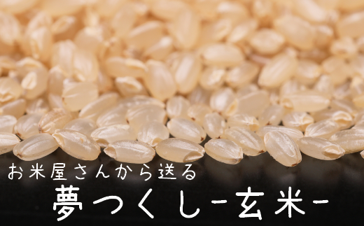 夢つくし 米 - 玄米の人気商品・通販・価格比較 - 価格.com