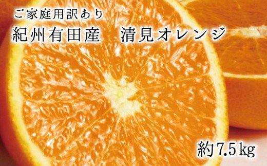 【ご家庭用訳アリ】紀州有田産清見オレンジ　7.5kg ※2024年3月下旬頃～2024年4月下旬頃に順次発送予定(お届け日指定不可)