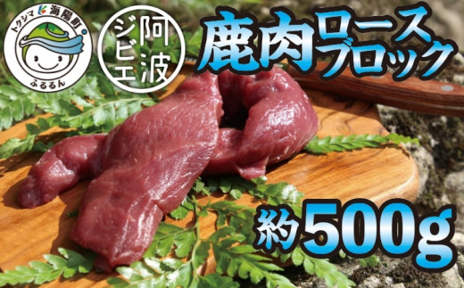サンプル写真