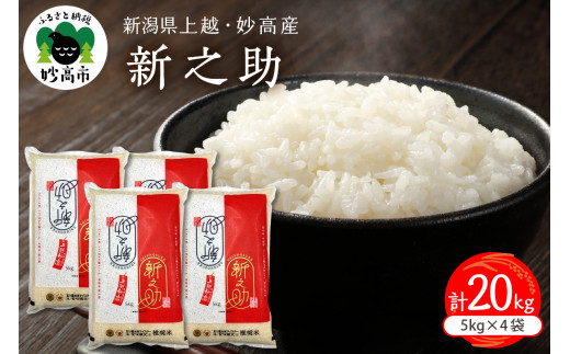 令和7年産 新潟県上越妙高産新之助 20kg - 新潟県妙高市