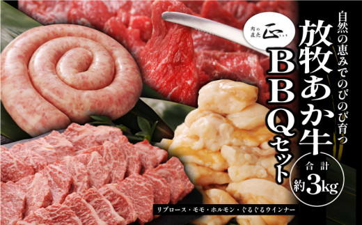 サンプル写真