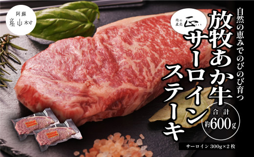 サンプル写真