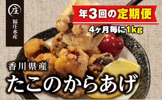 【定期便/年3回】絶品！子供から大人まで大満足！香川県産たこのからあげ1kg（500g×2袋）