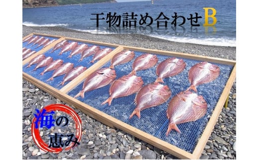 熊野干物詰め合わせ 海の恵み B 鯛 サンマ アジ カマス ブリ カワハギ スルメ 人気 干物セット - 三重県熊野市｜ふるさとチョイス -  ふるさと納税サイト