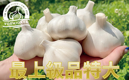 青森県産「にんにく・福地ホワイト種」 特大サイズ・6玉【2024年産 