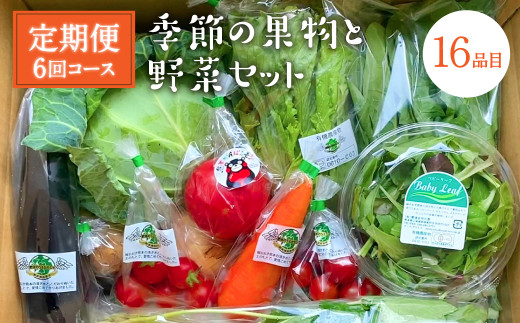 【熊本県八代市】【定期便6回】 季節の果物と野菜セット 16品目