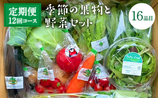 【熊本県八代市】【定期便12回】 季節の果物と野菜セット 16品目