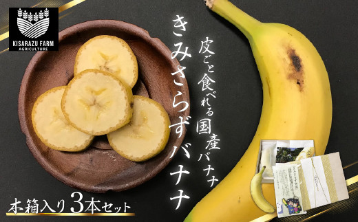 2025年2月より発送開始】＜希少な純国産バナナ＞きみさらずバナナ 木