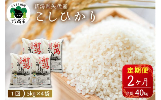 定期便】令和6年産 新潟県矢代産コシヒカリ20kg(5kg×4袋)×2回（計40kg） - 新潟県妙高市｜ふるさとチョイス - ふるさと納税サイト