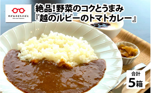 サンプル写真