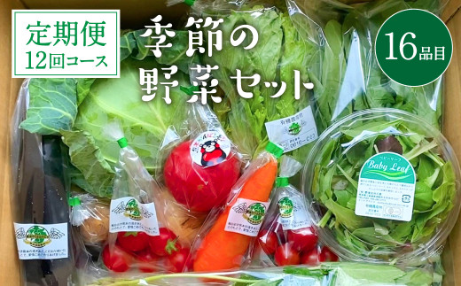 【熊本県八代市】【定期便12回】 季節の野菜セット 16品目