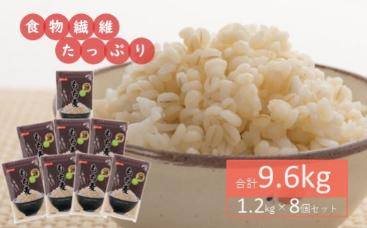 もち麦9.6kg(1.2kg×8個セット) - 埼玉県鴻巣市｜ふるさとチョイス