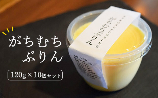 【岩手県一関市】ガチムチプリン120g×10個セット カラメルなし