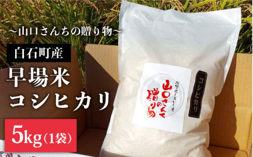 【先行予約】【令和6年産新米】特別栽培米 早場米 コシヒカリ 5kg ～山口さんちの贈り物～【y'scompany】米 お米 コシヒカリ こしひかり  早場米 特別栽培米 白米 お米 [IAS001] - 佐賀県白石町｜ふるさとチョイス - ふるさと納税サイト