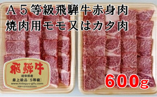 サンプル写真