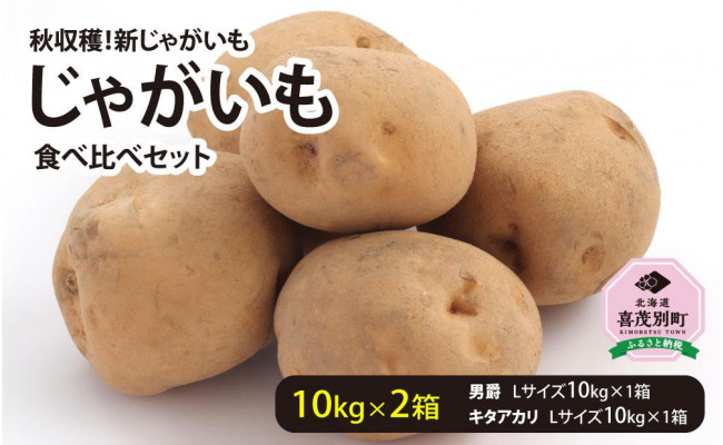 ホットセール ふるさと納税 上富良野町 新じゃが 玉ねぎセット 10kg karatsu-switch.com