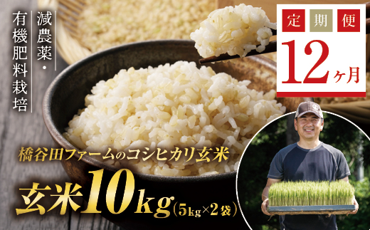 定期便12ヶ月》減農薬・有機肥料栽培 西会津産米コシヒカリ 玄米 10kg