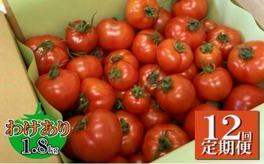 yÉlszy12ցz@\\Hi@Hapitoma nsg}@킯i1.8kgjyzsFz [5786-4725]