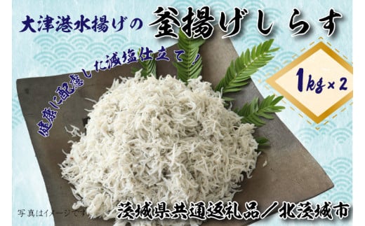 ふるさと納税「しらす 2kg」の人気返礼品・お礼品比較 - 価格.com