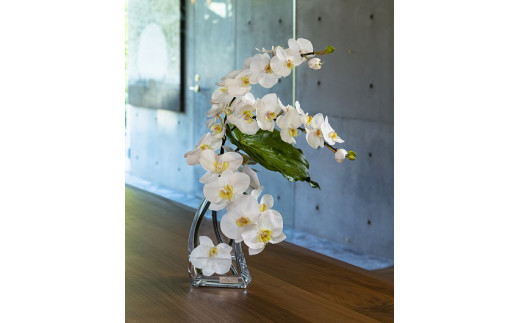 EMILIO ROBBA(エミリオロバ) ＊ファレノプシス(胡蝶蘭)＊造花 アート