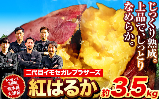 熊本県大津町産 紅はるか 約3.5kg（大中小不揃い）《1-5営業日以内