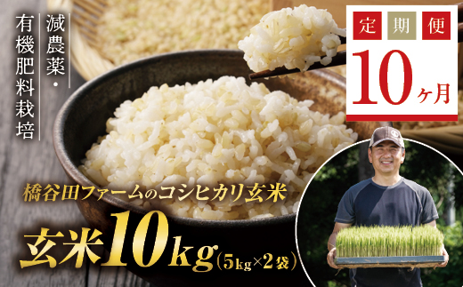 《定期便10ヶ月》減農薬・有機肥料栽培 西会津産米コシヒカリ 玄米 10kg（5kg×2袋） 米 お米 おこめ ご飯 ごはん 福島県 西会津町  F4D-0417