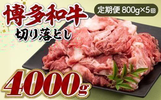 yV{zF060.a؂藎ƂiցFS5j
