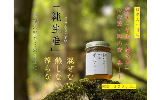A'-14 日本みつばち 蜂蜜「純生垂３２０ｇ」営巣２年目蜜 - 大分県玖珠