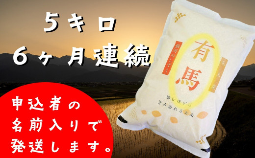 北上産 銀河のしずく 5㎏ 6ヶ月 定期便 白米 国産 お米 令和4年産 新米