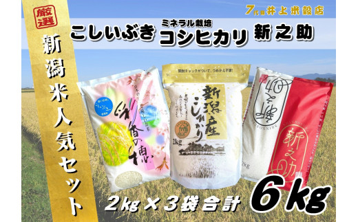 新米】新潟人気米セット 6kg (2kg×3種) ミネラル栽培コシヒカリ 新之助 こしいぶき 精米 白米 井上米穀店 11月上旬より順次発送予定  1I09016 - 新潟県阿賀野市｜ふるさとチョイス - ふるさと納税サイト