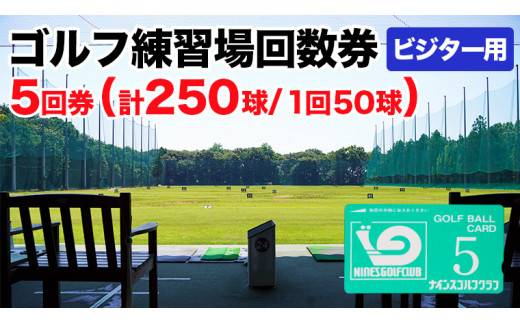 y錧㒬zStK񐔌 5񌔁i250j rW^[p Cxg`Pbg Stꗘp łςȂ 񐔌 AEghA rW^[ [CD004ya]